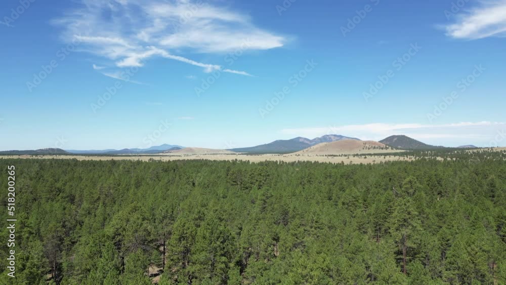 An Aerial View of a Pine Forest Near Flagstaff, Arizona, with the Mountain Tops in the Background An Aerial View of a Pine Forest Near Flagstaff, Arizona, with the Mountain Tops in the Background