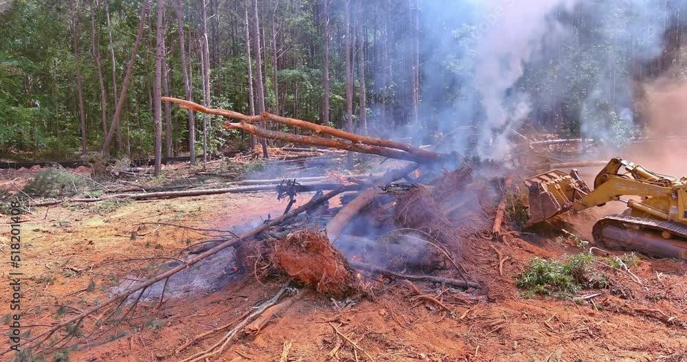 Natural disaster forest fire, an tractor falling asleep sand to fire Natural disaster forest fire, an tractor falling asleep sand to fire
