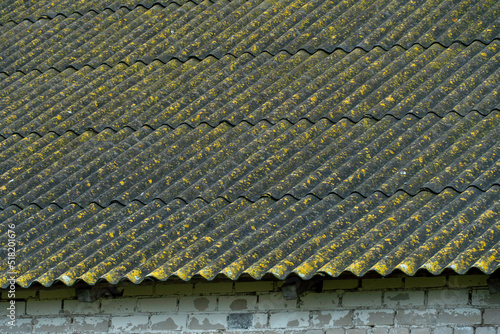 The roof is covered with old slate. Moss on slate colorful background.