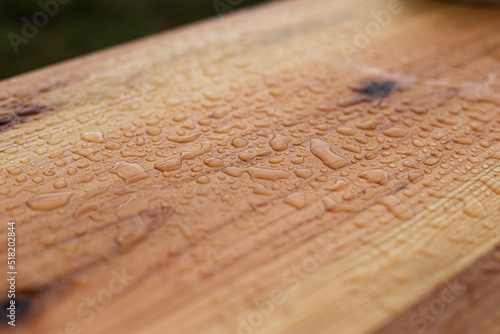 Drewno odporne na warunki atmosferyczne