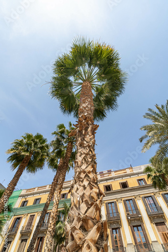 Photography Visiting Barcelona