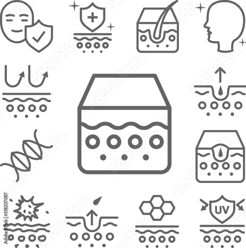 Epidermis, skin icon in a collection with other items