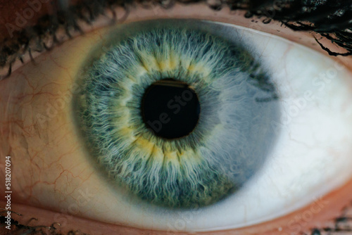 Eyeball Emporium 43