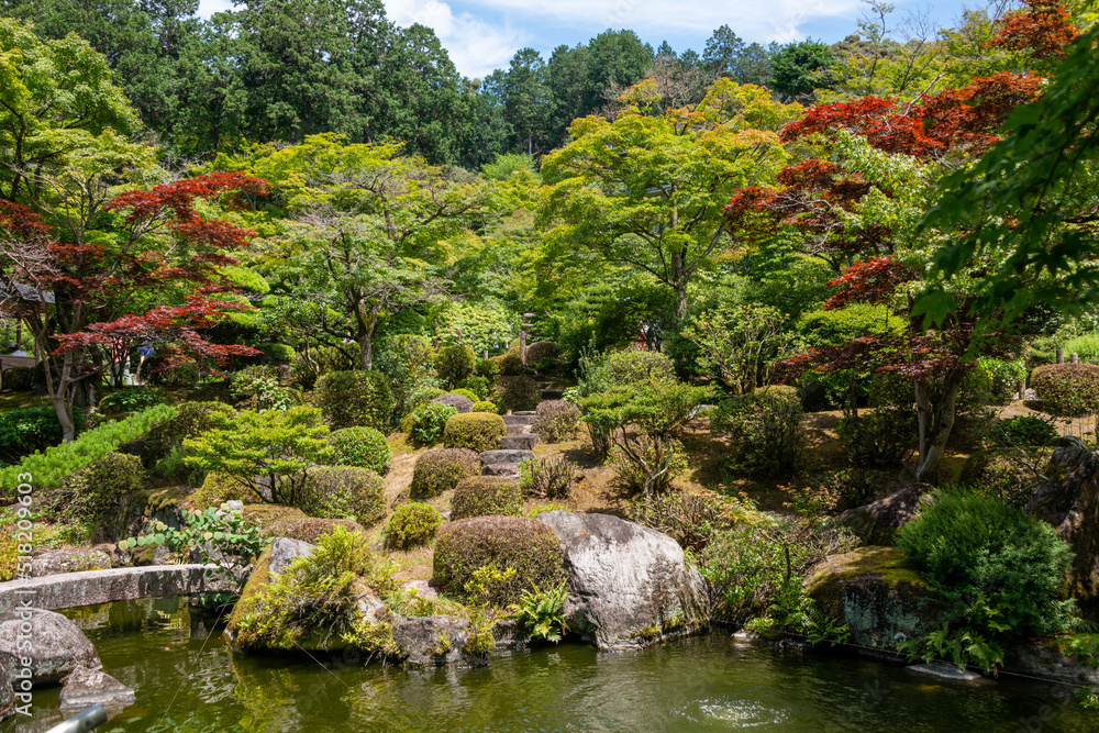 Japanese garden at Mimuroto temple in Uji, Kyoto, Japan