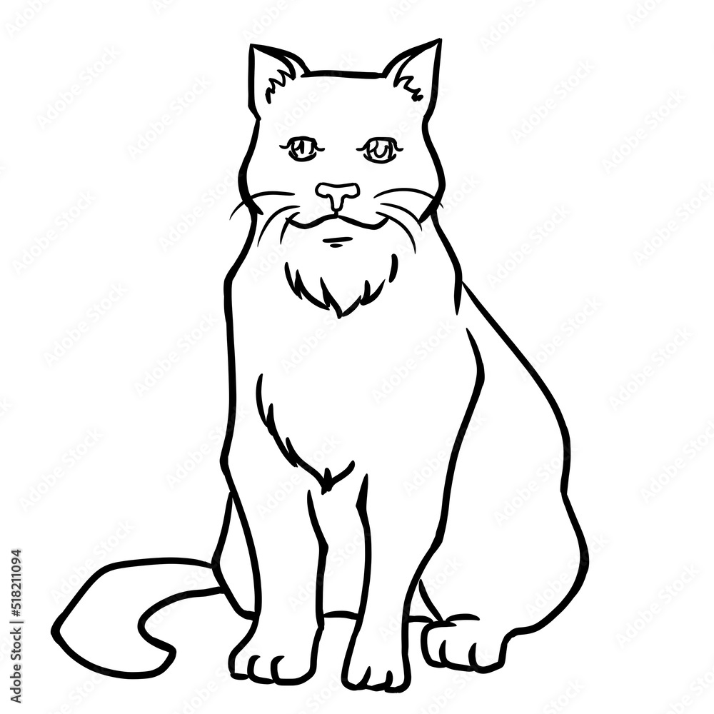Cat Cartoon