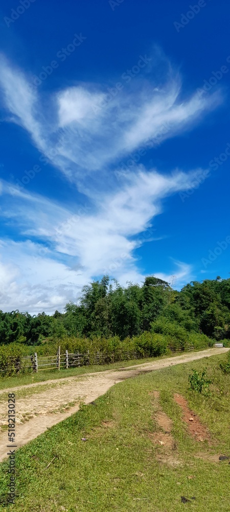 field and blue sky