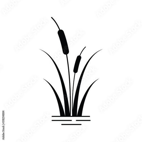 Reeds plant icon design isolated on white background