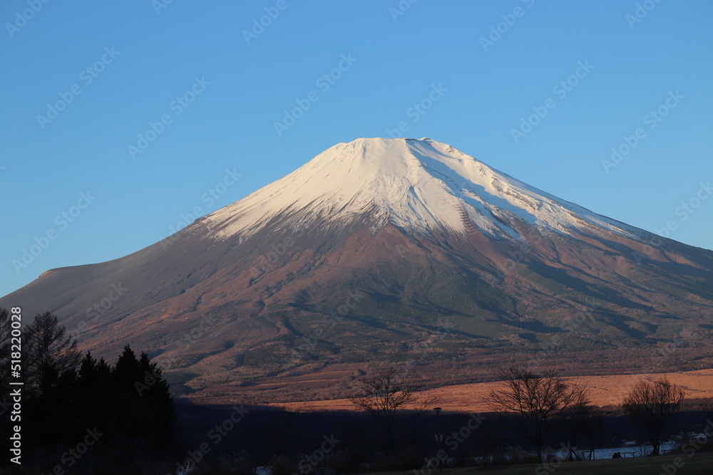 Fototapeta premium 朝の富士山