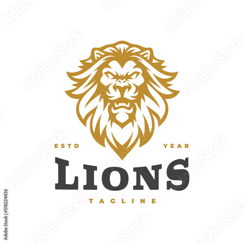 Ferocious lion head emblem logo design. Lion head line art vector icon