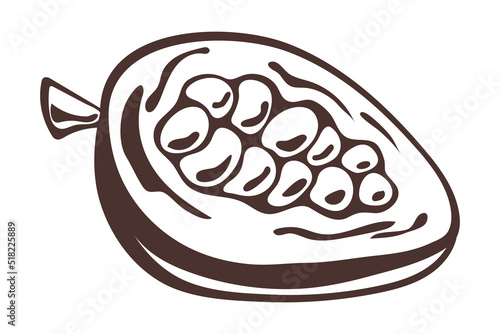 cacao sketch design