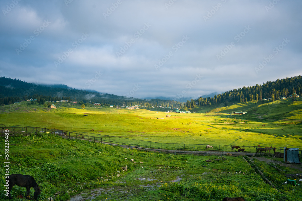 Landscape in the mountains, Gulmarg, Baramulla, Jammu and Kashmir, India.