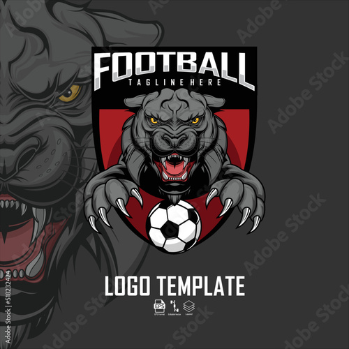 BLACK PANTHER FOOT BALL LOGO WITH A GRAY BACKGROUND