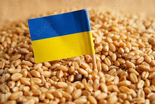 Fotografie Ukraine on grain wheat, trade export and economy concept.