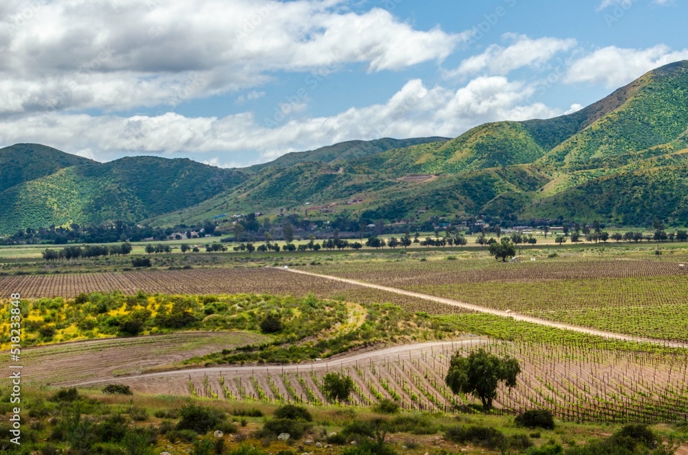 Paisaje de viñedos Santo Tomás en Valle de Guadalupe, Baja California, México