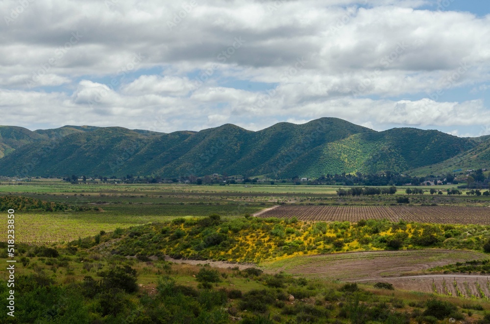 Obraz premium Paisaje de viñedos Santo Tomás en Valle de Guadalupe, Baja California, México