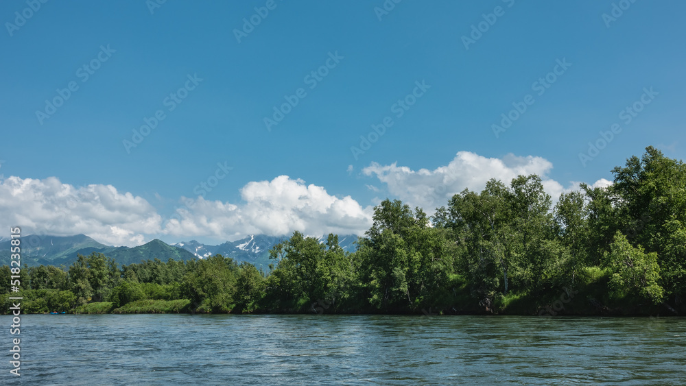Lush thickets of green trees grow on the bank of the blue river. A picturesque mountain range against the background of azure sky and clouds. Copy space. Kamchatka. River Bystraya