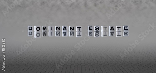 dominant estate word or concept represented by black and white letter cubes on a grey horizon background stretching to infinity