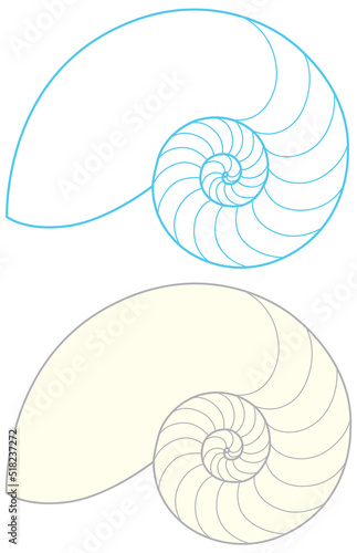 Nautilus shell outline on white background
