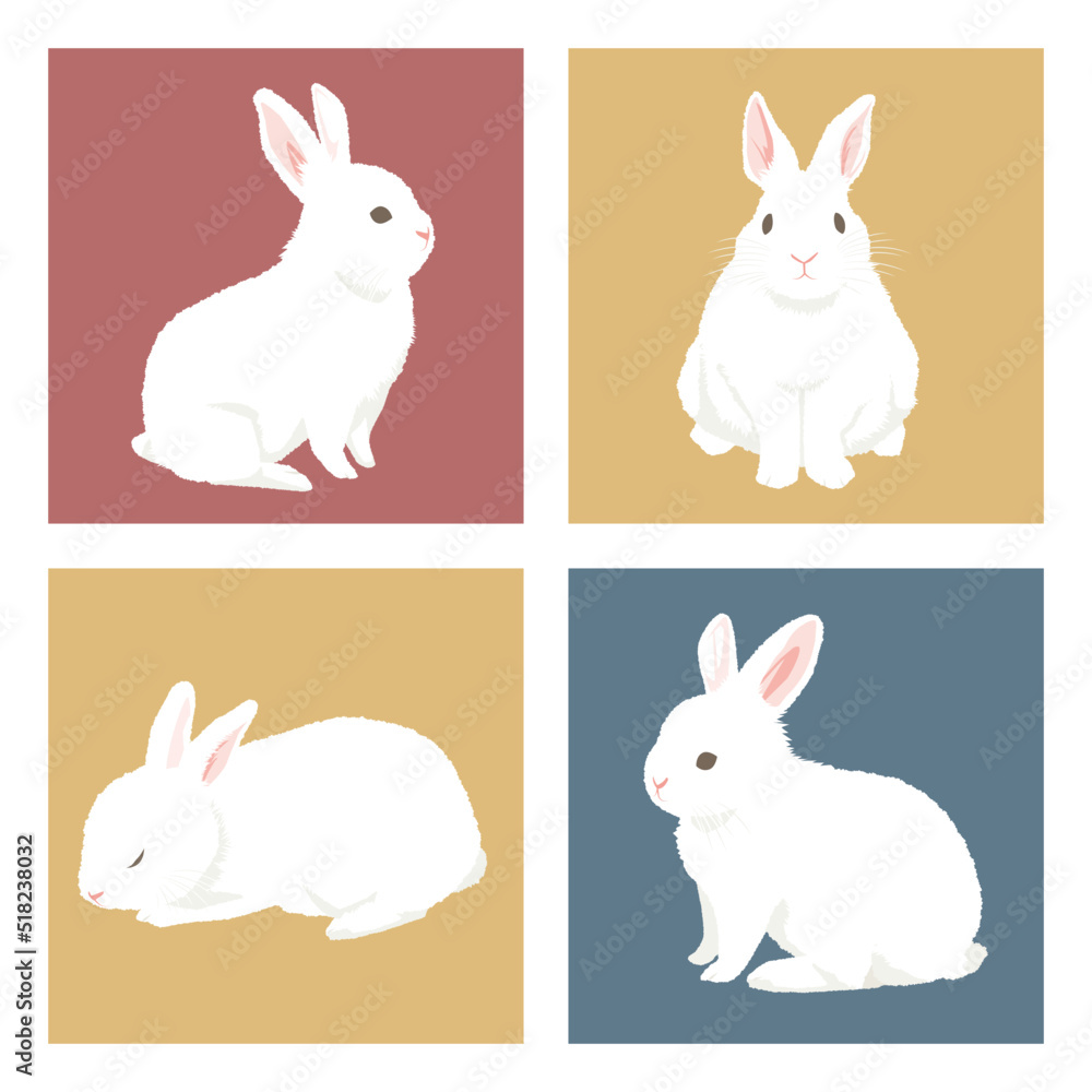 色々な白ウサギのイラスト Stock Vector Adobe Stock 色々な白ウサギのイラスト Stock Vector Adobe Stock