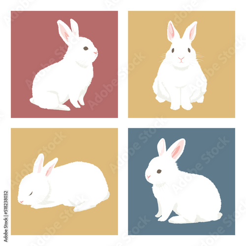 色々な白ウサギのイラスト