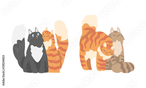 Couples of cute hugging cats set. Funny fluffy cats in love cartoon vector illustration