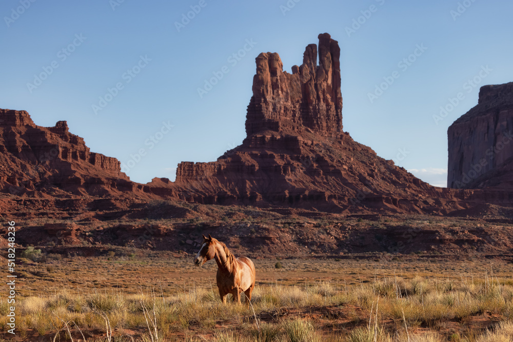 Wild Brown Horse in the desert with Red Rock Mountain Landscape in Background. Sunny Sunset Sky. Oljato-Monument Valley, Utah, United States. Wild Brown Horse in the desert with Red Rock Mountain Landscape in Background. Sunny Sunset Sky. Oljato-Monument Valley, Utah, United States.