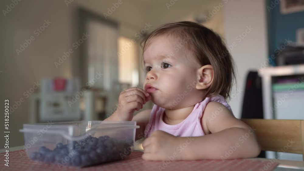 One girl child toddler small caucasian female daughter one year old sitting at the table in summer day at home eating blueberries fruit from bowl alone childhood growing up concept real people One girl child toddler small caucasian female daughter one year old sitting at the table in summer day at home eating blueberries fruit from bowl alone childhood growing up concept real people