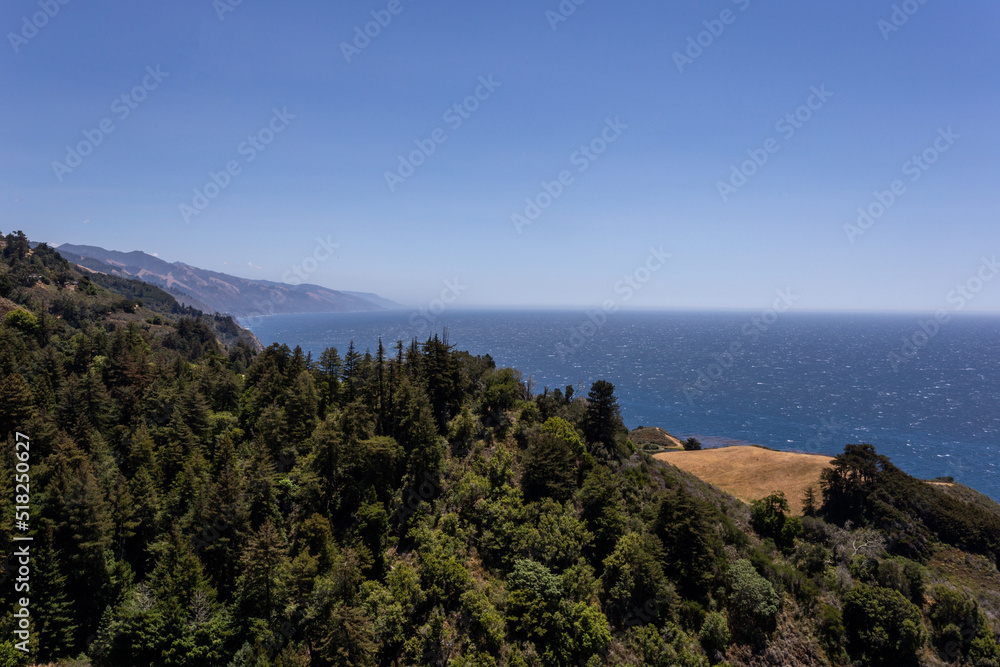 Fototapeta premium A view on the Pacific ocean and forest