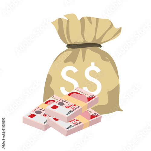 Singaporean Dollar Vector Illustration. Singapore, Brunei money set bundle banknotes. Money bag 10 SGD. Flat style. Isolated on white background. Simple minimal design.