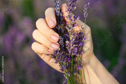 Fototapeta Naklejka Na Ścianę i Meble -  Bouquet of lavender in the hands, blurred background