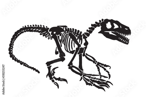 Graphical silhouette of skeleton raptor isolated on white, vector dinosaur of jurassic period, illustration for educational books,printing and design