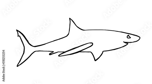 Graphical doodle drawing of  shark isolated on white.Marine life habitant lined drawing, sketch for tattoo and coloring
