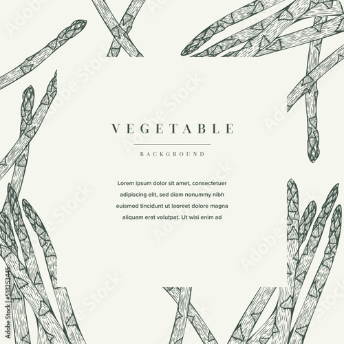 Vegetable Sketch Illustration