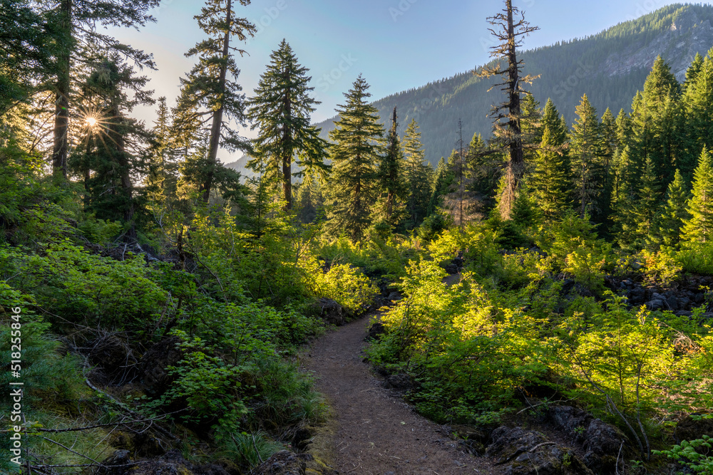 Proxy Falls Trail in the Cascade Mountains in Central Oregon Proxy Falls Trail in the Cascade Mountains in Central Oregon
