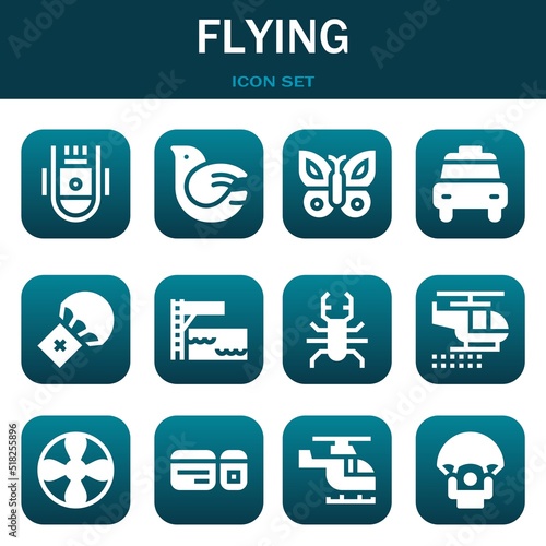 flying icon set. Vector illustrations related with Space capsule, Dove and Butterfly