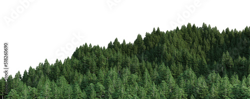 Fotografia Pine mountain on a white background.
