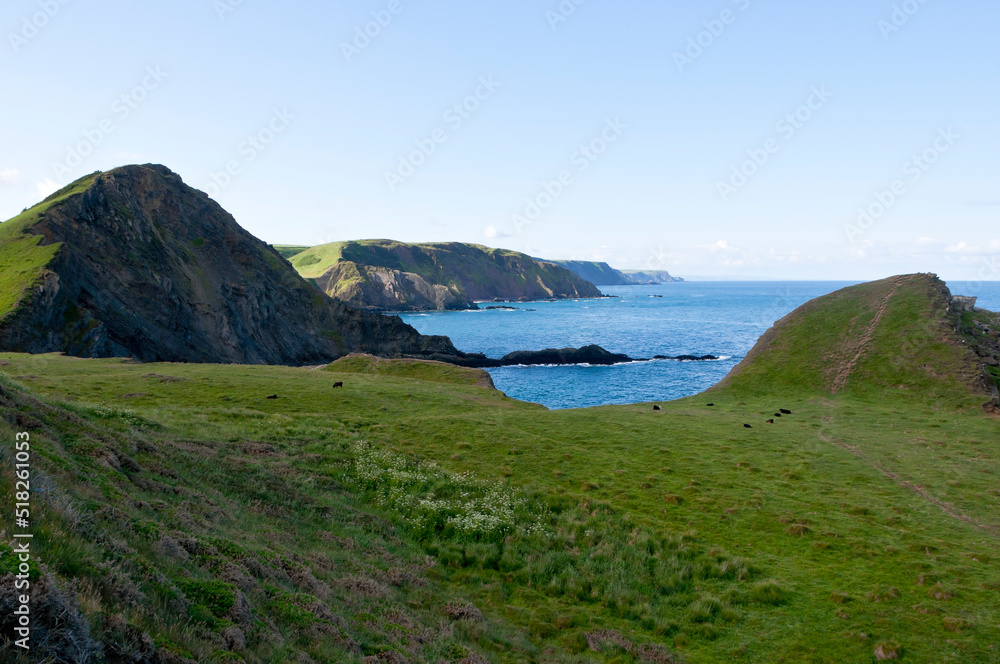 South West Coast Path near Hartland Point, North Devon, England