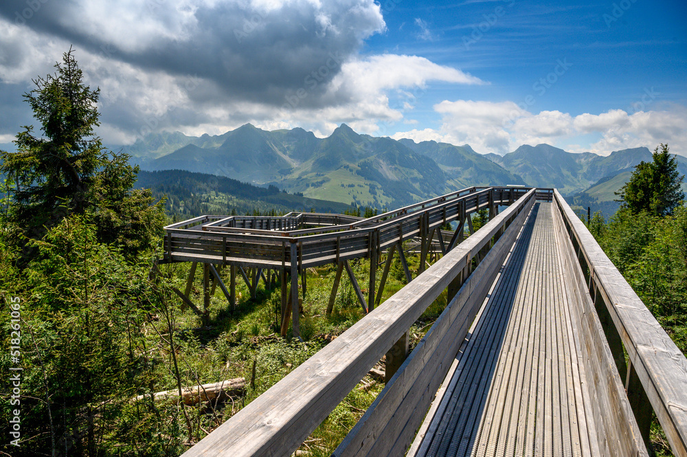 Obraz premium wooden walkway of Gäggersteg in Naturpark Gantrisch