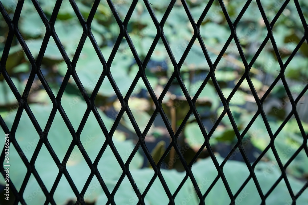 Naklejka premium black cast iron grate with a lotus leaf backdrop