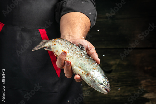Fototapeta Naklejka Na Ścianę i Meble -  chef hands holding rainbow trout with spices, Fresh seafood. Healthy food, diet or cooking concept