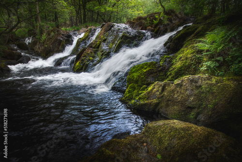 Fototapeta Naklejka Na Ścianę i Meble -  Waterfall in Lake District woodland.