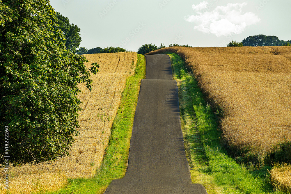 Fototapeta premium Road