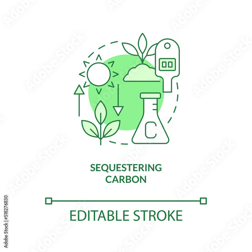 Sequestering carbon green concept icon. Reducing CO2 pollution. Net zero abstract idea thin line illustration. Isolated outline drawing. Editable stroke. Arial, Myriad Pro-Bold fonts used photo