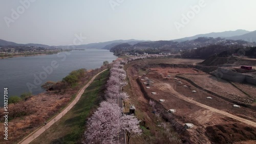 Korea Spring Aerial Drone Over Cherry Blossoms and Han River photo