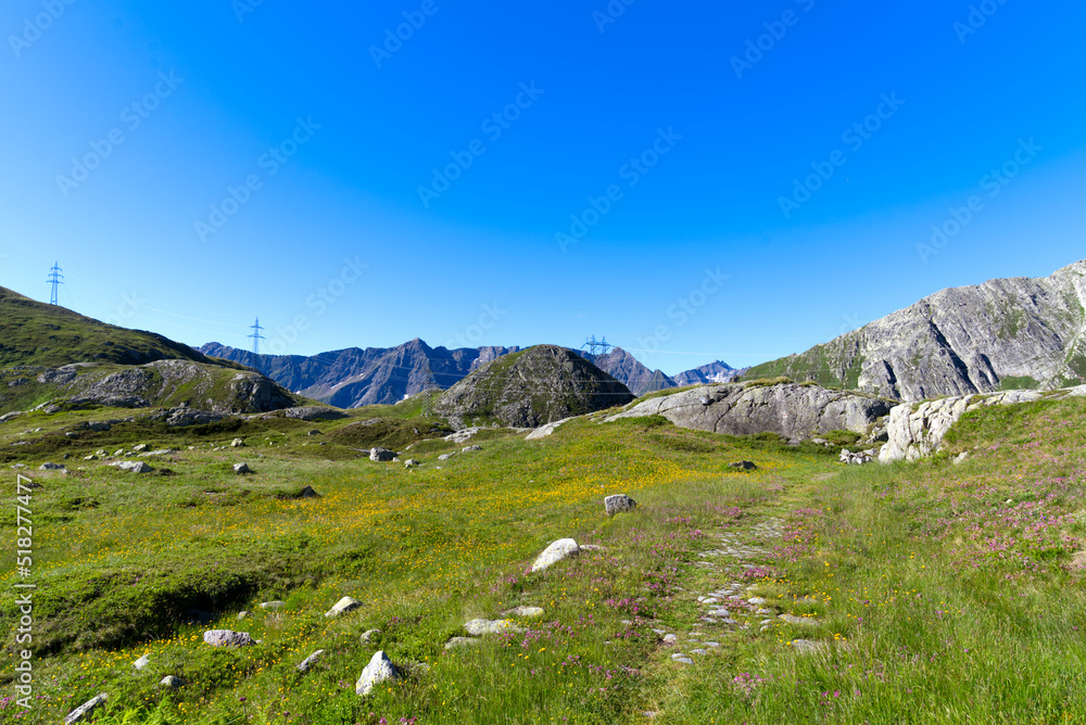 Fototapeta premium Close-up of hiking trail with meadow and flowers at the south side of Swiss Gotthard Pass on a sunny summer day. Photo taken June 25th, 2022, Gotthard Pass, Switzerland.