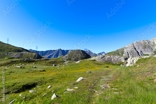 Close-up of hiking trail with meadow and flowers at the south side of Swiss Gotthard Pass on a sunny summer day. Photo taken June 25th, 2022, Gotthard Pass, Switzerland.