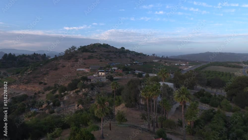 Palm Trees and Beautiful Houses in the Valley of Wine Country California • Iconic Aerial Drone Shot • B Roll Horizontal HD • Escondido, San Diego, USA Palm Trees and Beautiful Houses in the Valley of Wine Country California • Iconic Aerial Drone Shot • B Roll Horizontal HD • Escondido, San Diego, USA