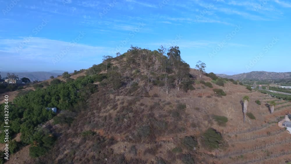 Reveal of California Valley Vineyards and Farms in Escondido • Ascending Jib Up Pedestal Shot from Drone in Horizontal HD • San Diego California USA Reveal of California Valley Vineyards and Farms in Escondido • Ascending Jib Up Pedestal Shot from Drone in Horizontal HD • San Diego California USA