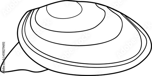 Coloring page with mussel mollusk isolated on white background