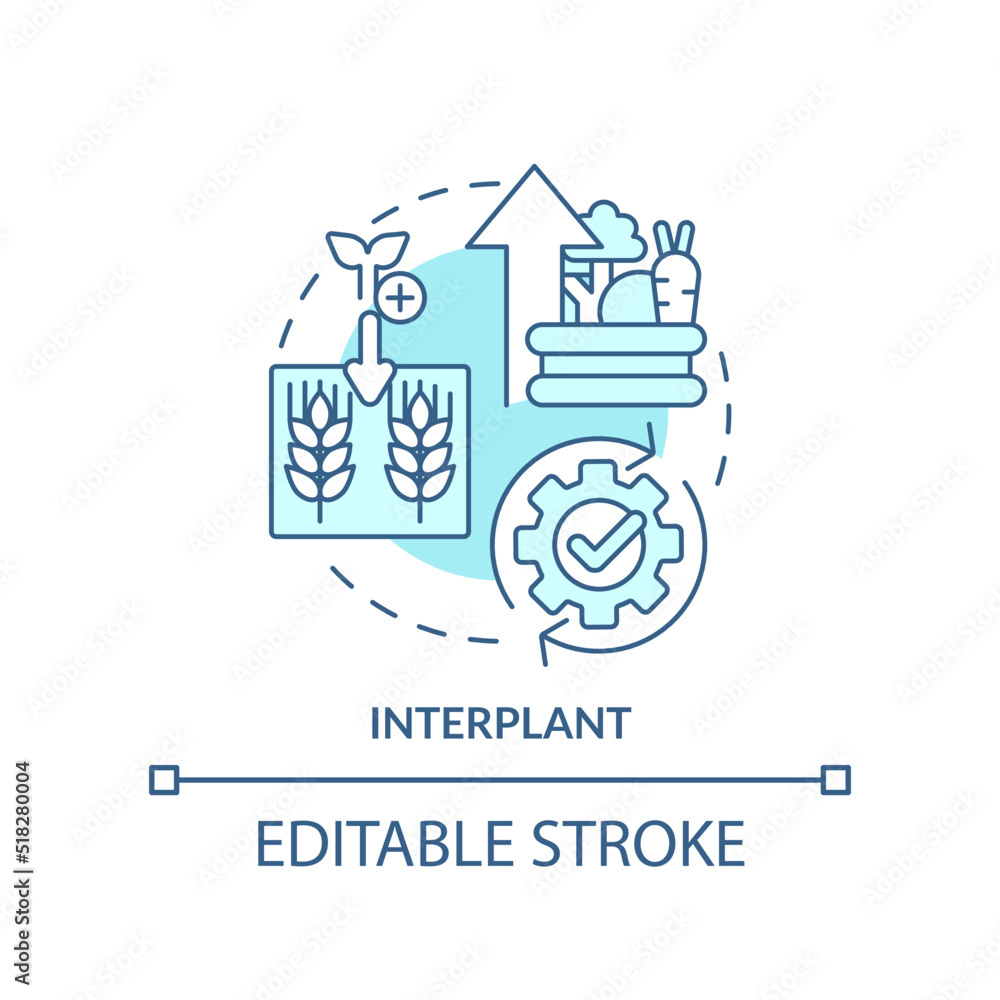 Interplant turquoise concept icon. Plant multiple cultures. Farming productivity abstract idea thin line illustration. Isolated outline drawing. Editable stroke. Arial, Myriad Pro-Bold fonts used Interplant turquoise concept icon. Plant multiple cultures. Farming productivity abstract idea thin line illustration. Isolated outline drawing. Editable stroke. Arial, Myriad Pro-Bold fonts used